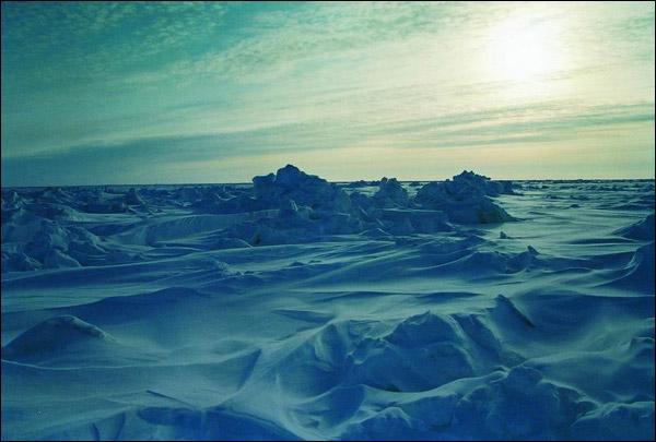 Полюс. Неутоленная жажда i_030.jpg