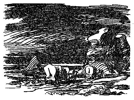 Пограничный легион (сборник) p0322.jpg