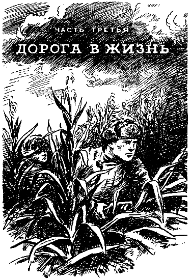 Кирюша из Севастополя pic_23.png