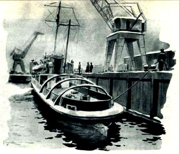 Новые крылья pic_8.jpg