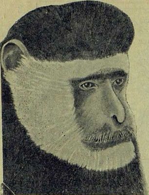 Следы на камне i_162.jpg