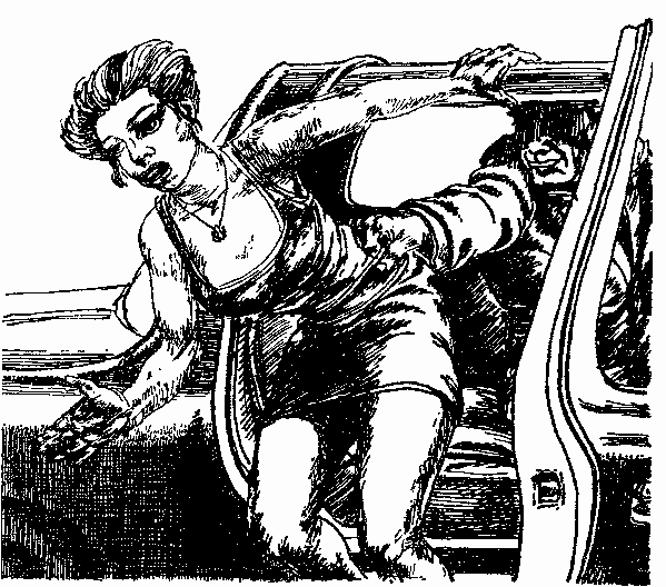 В дебрях Даль-Гея (сборник) pic_7.png