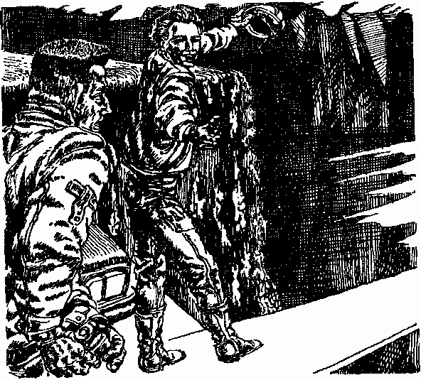 В дебрях Даль-Гея (сборник) pic_11.png
