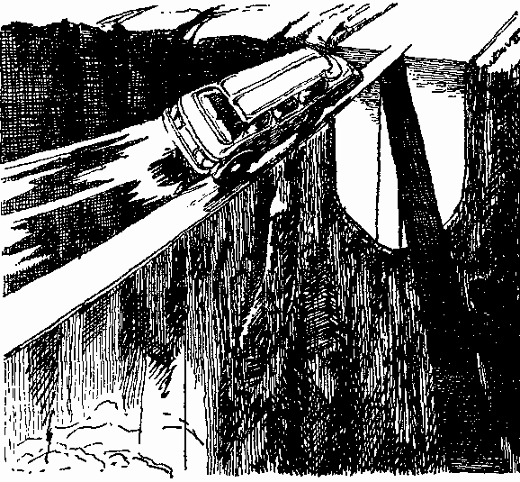 В дебрях Даль-Гея (сборник) pic_12.png