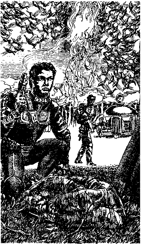В дебрях Даль-Гея (сборник) pic_14.png