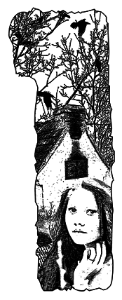 На запах м’яса pic_1.png