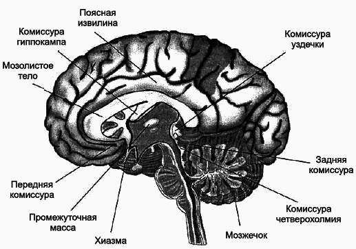 Психология детского творчества i_010.png