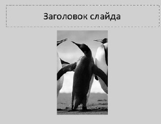 Офисный компьютер для женщин: Изучаем Word, Excel, Outlook, PowerPoint i_407.jpg