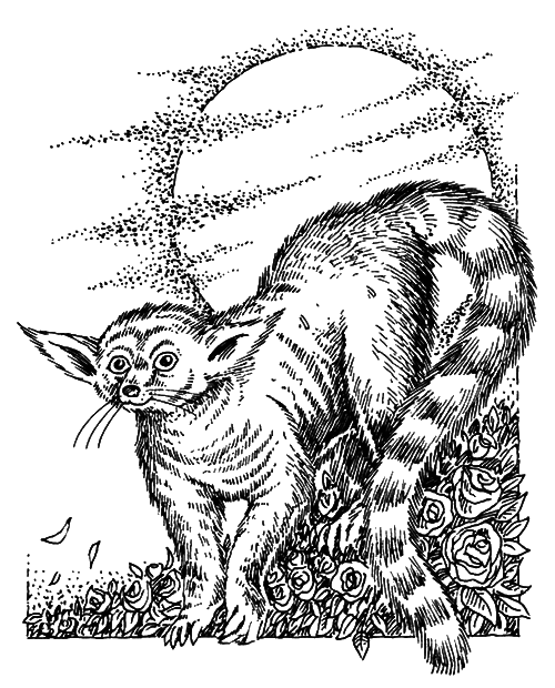 Темна вежа i_009.png