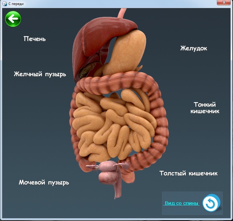 Древние практики славянских знахарей image8_53da26e837eca2d5458b45c0_jpg.jpeg