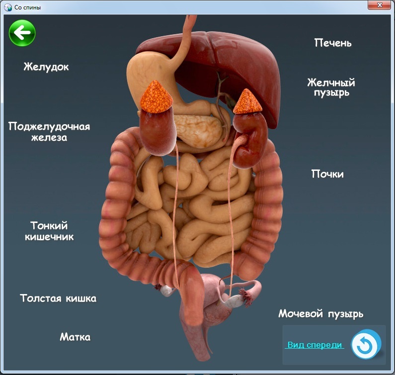 Древние практики славянских знахарей image9_53da26f337eca22b698b462d_jpg.jpeg