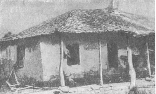Димитров. Сын рабочего класса i_002.jpg