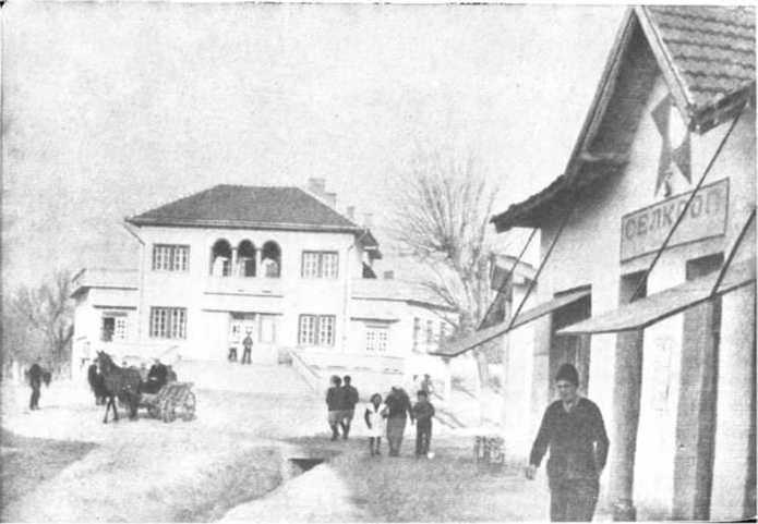Димитров. Сын рабочего класса i_031.jpg