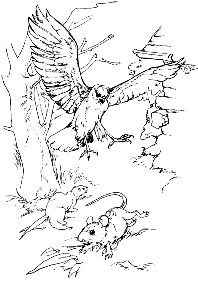 21 день i_002.png