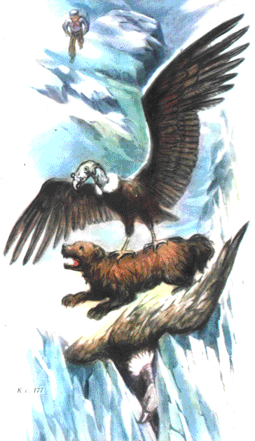 Пленники Барсова ущелья (с илл.) pic_13.png