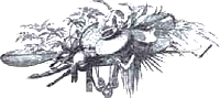 Амазонка: призраки зеленого ада i_008.png