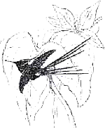 Амазонка: призраки зеленого ада i_010.png