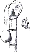Амазонка: призраки зеленого ада i_011.png