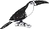 Амазонка: призраки зеленого ада i_003.png