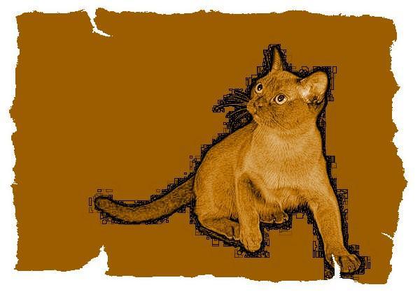 Кот из Датского королевства _14.jpg