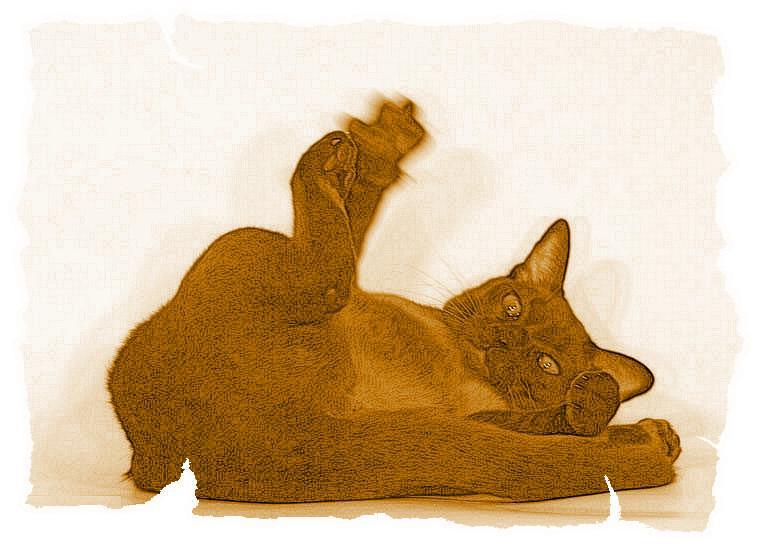 Кот из Датского королевства _20.jpg