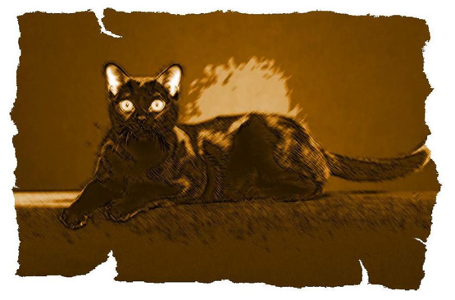 Кот из Датского королевства _23.jpg