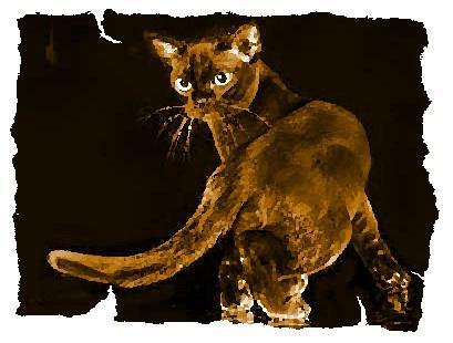 Кот из Датского королевства _25.jpg