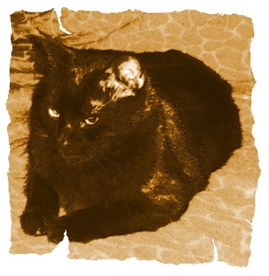 Кот из Датского королевства _30.jpg
