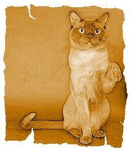Кот из Датского королевства _5.jpg