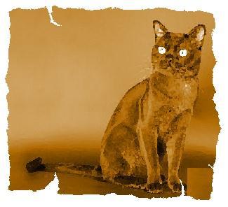 Кот из Датского королевства _7.jpg