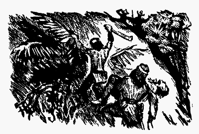 Охотники за орхидеями (илл. В. Юнк) pic_23.png