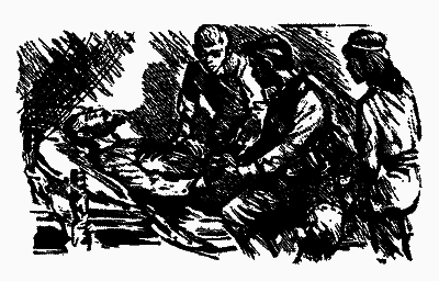 Охотники за орхидеями (илл. В. Юнк) pic_25.png