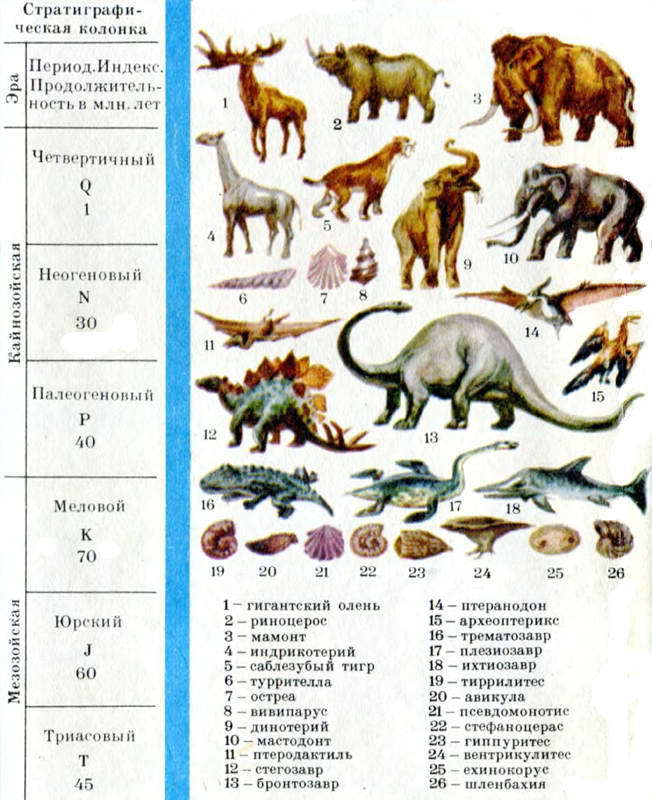 Как развивалась жизнь на Земле i_048.jpg