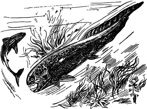 Как развивалась жизнь на Земле i_004.png