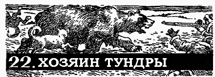 Пленники белой пустыни pic_25.png