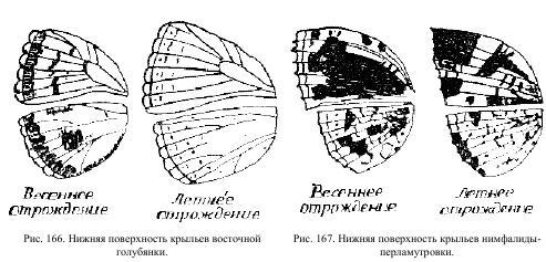 Приключения с насекомыми pic_90.jpg