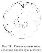 Приключения с насекомыми pic_109.jpg