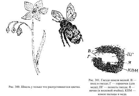 Приключения с насекомыми pic_150.jpg