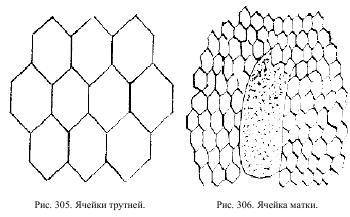 Приключения с насекомыми pic_152.jpg