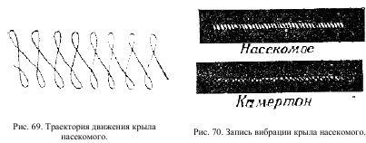 Приключения с насекомыми pic_38.jpg