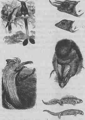 Эволюционная психология. Секреты поведения Homo sapiens img4A47.jpg