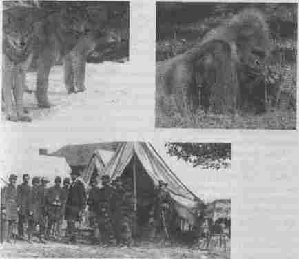Эволюционная психология. Секреты поведения Homo sapiens img3BFC.jpg