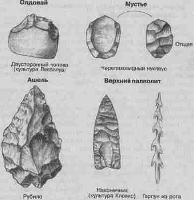 Эволюционная психология. Секреты поведения Homo sapiens imgF19E.jpg