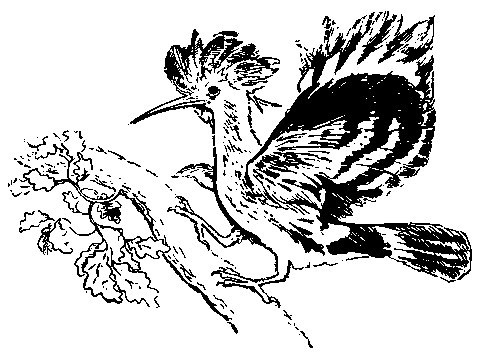 Встречи в горах (с илл.) pic_2.png