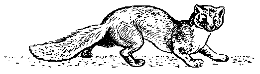 Встречи в горах (с илл.) pic_13.png