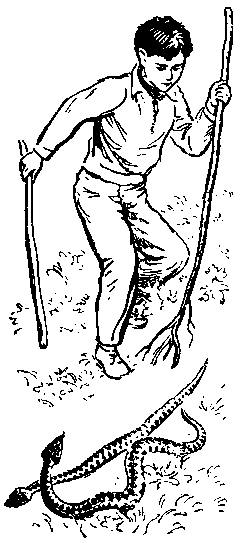 Встречи в горах (с илл.) pic_14.png