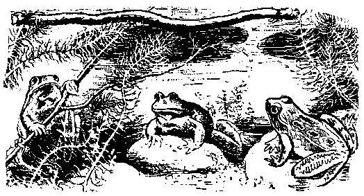 Встречи в горах (с илл.) pic_15.png