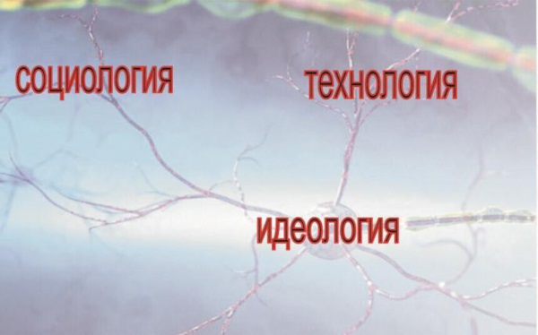 Сравнительная культурология. Том 1 i_077.jpg