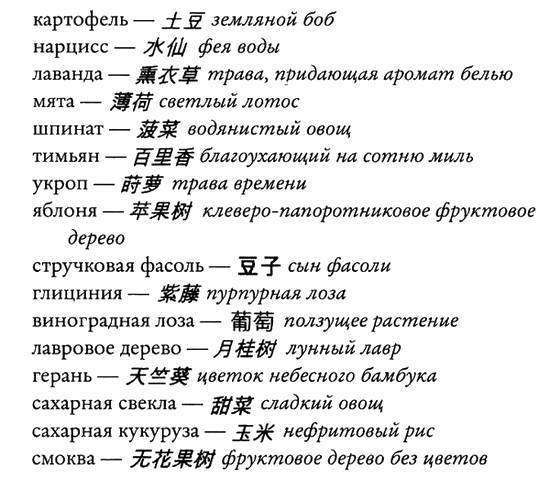 Краткий китайско-английский словарь любовников _5.jpg