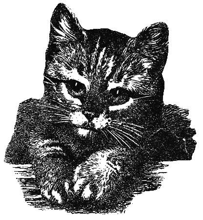 Бабушкина книжка i_022.png